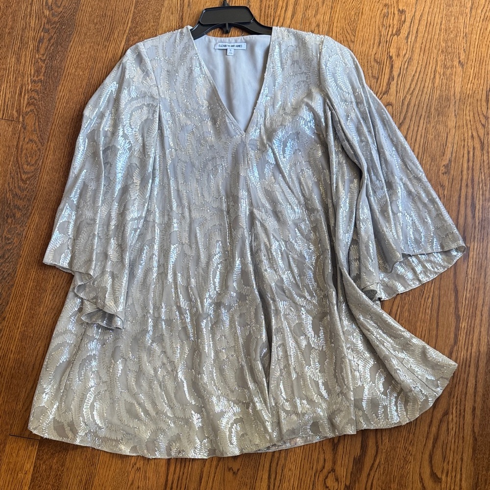 Elizabeth Arden Shimmering Silver Mini Dress